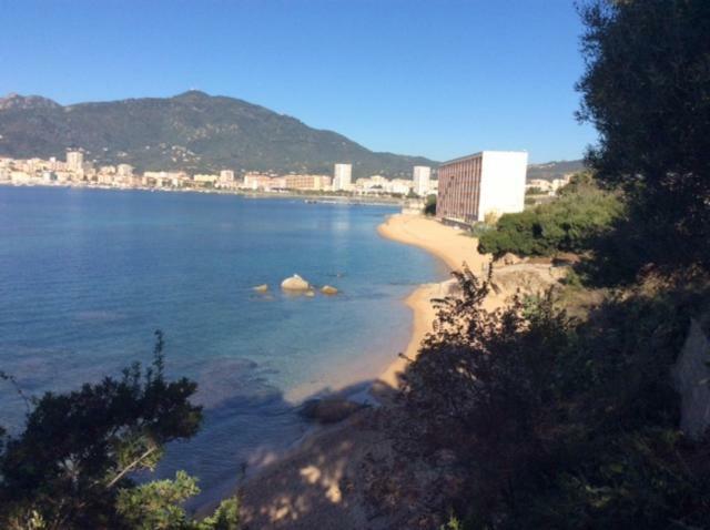 Villa D'Exception, Piscine, Vue Mer, Plage A 100M Ajaccio  Bagian luar foto