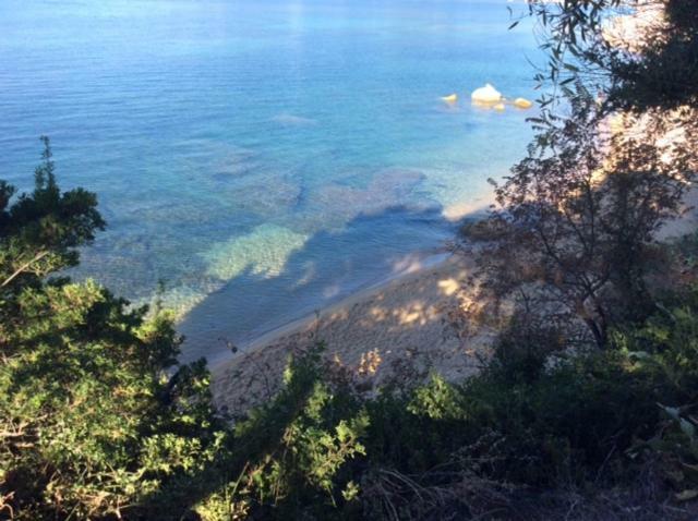 Villa D'Exception, Piscine, Vue Mer, Plage A 100M Ajaccio  Bagian luar foto